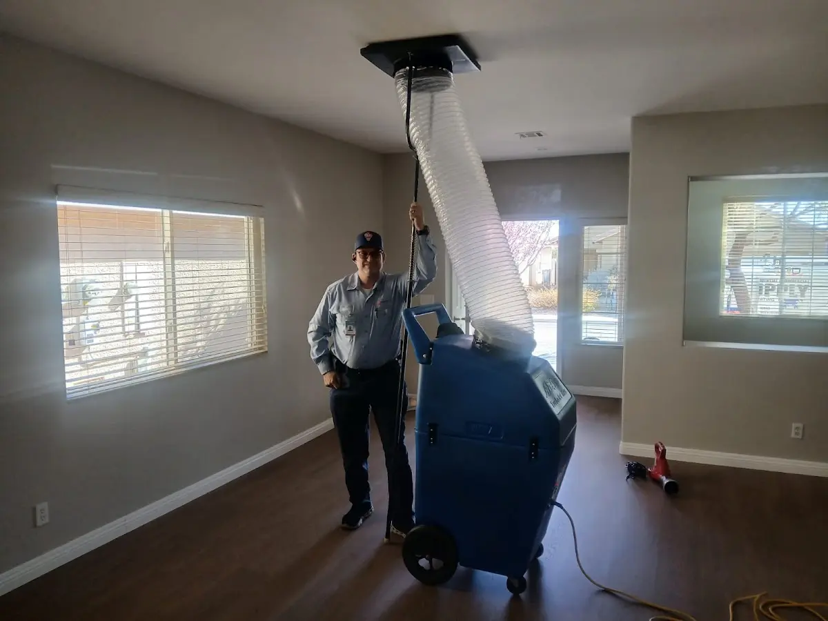 Professional Dryer Vent Cleaning work inside a Harwinton home